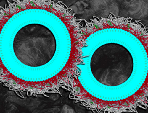 New nanoparticles stimulate the immune system to attack ovarian tumors