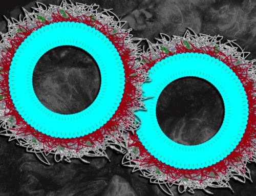 New nanoparticles stimulate the immune system to attack ovarian tumors