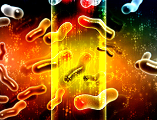 The Stunning New Push to Protect the Invisible 99% of Life