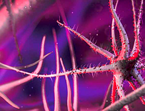 Novel mRNA therapy curbs antibiotic-resistant infections in preclinical lung models