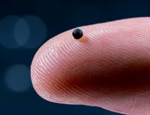 Magnetic nanoparticles that successfully navigate complex blood vessels may be ready for clinical trials