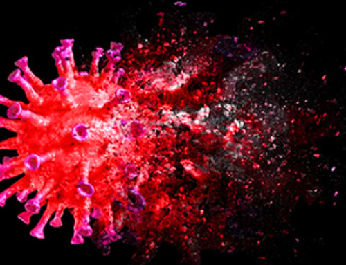 AI Helped Scientists Stop a Virus With One Tiny Change