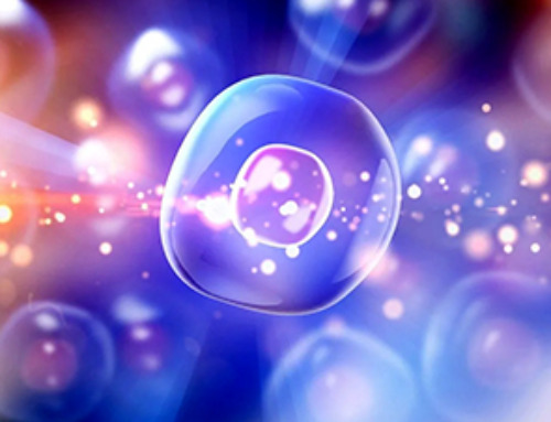 This Cellular Trick Helps Cancer Spread, but Could Also Stop It