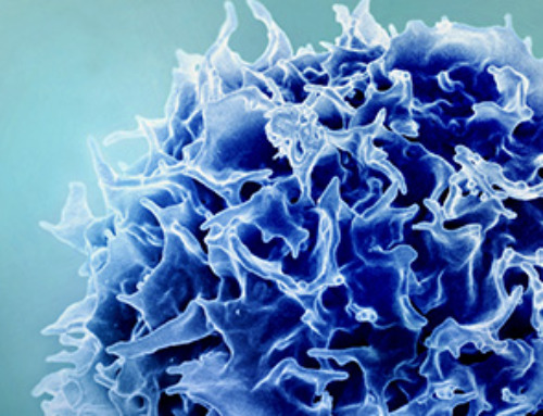 New study suggests a way to rejuvenate the immune system