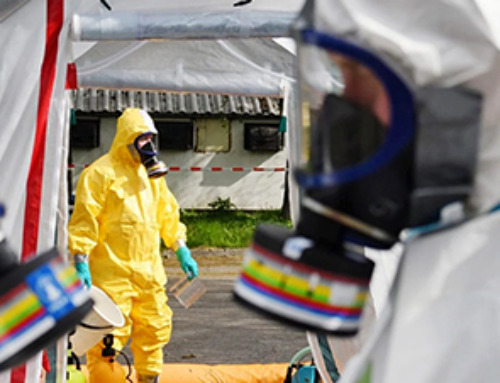 Fever-Proof Bird Flu Variant Could Fuel the Next Pandemic