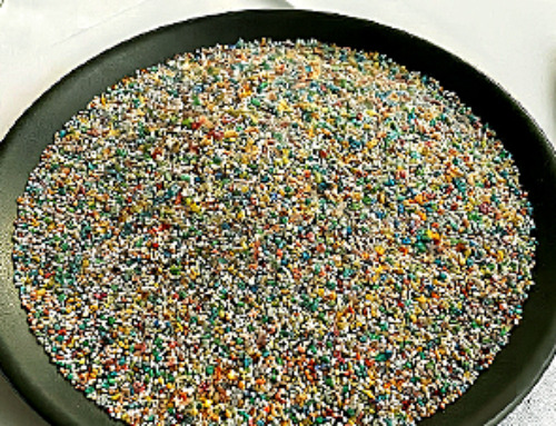 Researchers highlight five pathways through which microplastics can harm the brain