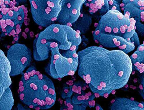 Older chemical libraries show promise for fighting resistant strains of COVID-19 virus