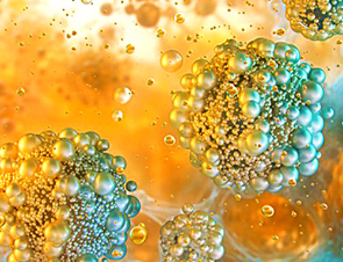 Platelet-inspired nanoparticles could improve treatment of inflammatory diseases