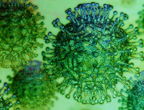 These two viruses may become the next public health threats, scientists say