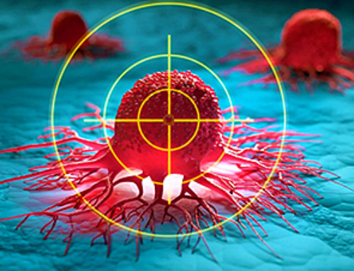 Scientists Find Way to Turn Tumor-Protecting Cells Into Cancer Killers