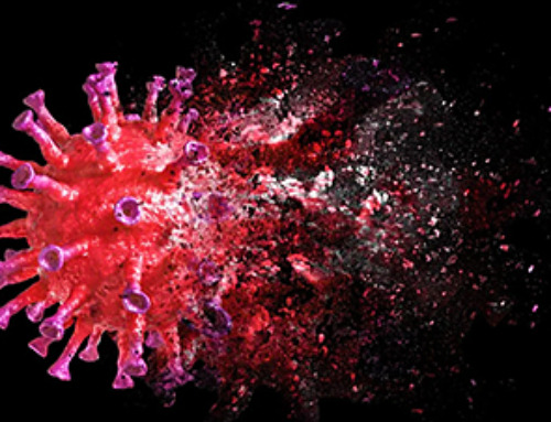 This Viral RNA Structure Could Lead to a Universal Antiviral Drug