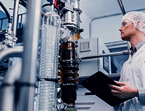 Nanomedicine in 2026: Experts Predict the Year Ahead