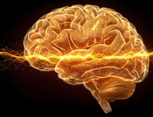 The Brain’s Strange Way of Computing Could Explain Consciousness