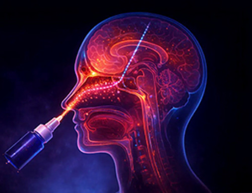 Miller School Researchers Pioneer Nanovanilloid-Based Brain Cooling for Traumatic Injury