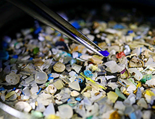 Microplastics found in prostate tumors in small study