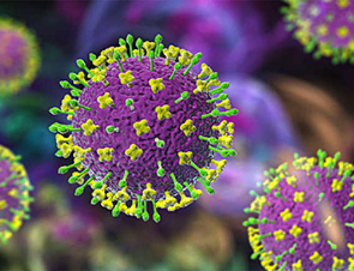 Urgent warning over deadly ‘brain swelling’ virus amid fears it could spread globally