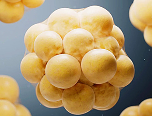 Scientists Crack a 50-Year Tissue Mystery With Major Cancer Implications