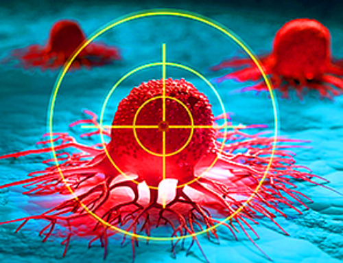 Scientists Rewire Natural Killer Cells To Attack Cancer Faster and Harder