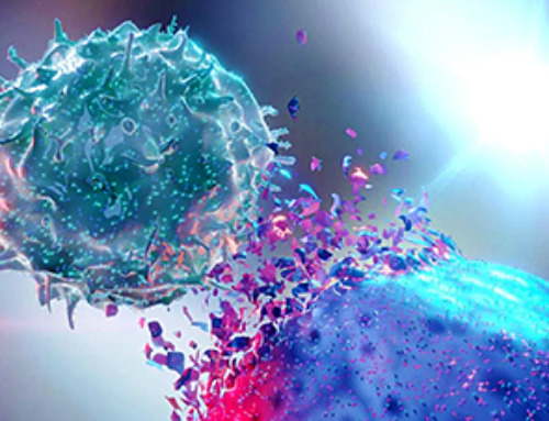 Scientists Finally Solve a 30-Year-Old Cancer Mystery Hidden in Rye Pollen