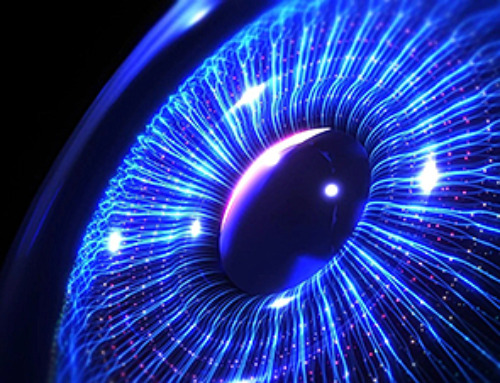 Blindness Breakthrough? This Snail Regrows Eyes in 30 Days