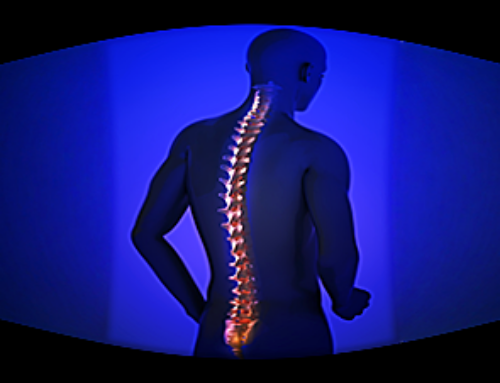 Lab-grown corticospinal neurons offer new models for ALS and spinal injuries