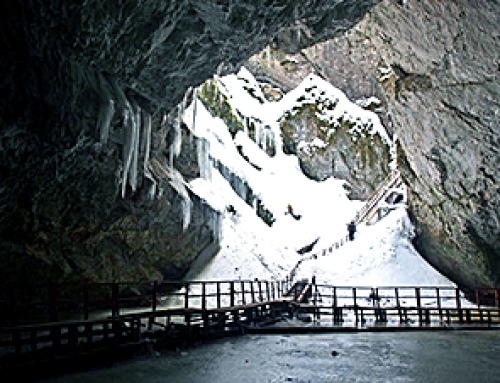 Ancient bacteria strain discovered in ice cave is resistant to some modern antibiotics