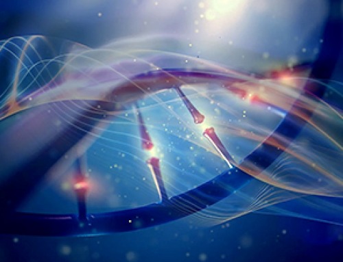 Scientists Discover DNA “Flips” That Supercharge Evolution