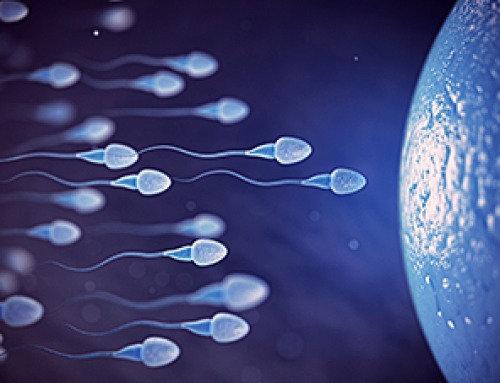 Sperm Get Lost in Space and Scientists Finally Know Why