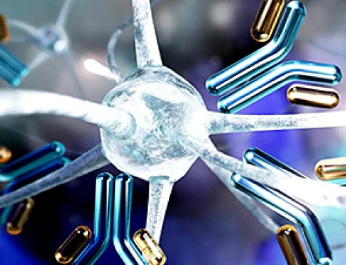 Scientists Discover “Molecular Switch” That Fuels Alzheimer’s Brain Inflammation