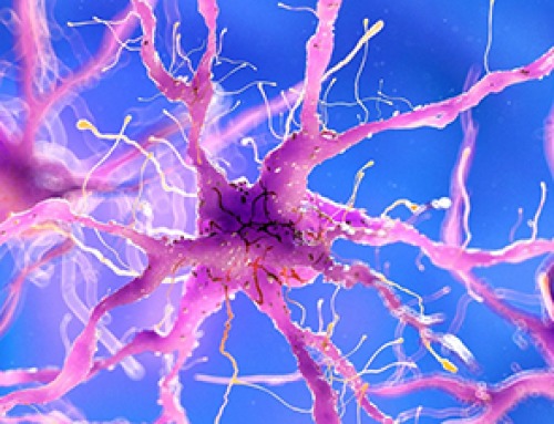 Breakthrough Study Reveals Why Damaged Nerves Struggle To Heal