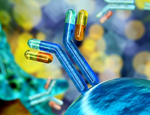 AI to antibody in days: breaking the wet lab bottleneck via high-throughput integration