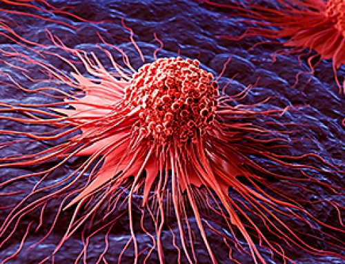 Scientists Uncover Fatal Weakness in “Zombie Cells” Linked to Cancer
