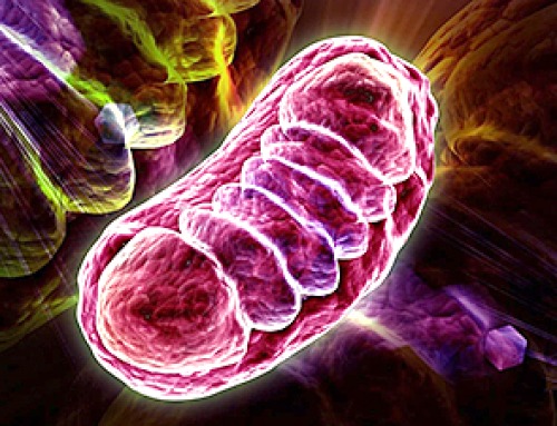 Scientists Just Discovered the Hidden Trick That Keeps Your Cells Alive