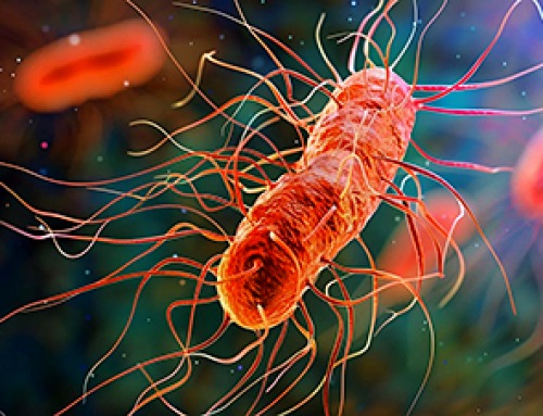 Scientists Discover Cheap Material That Kills Deadly Superbugs