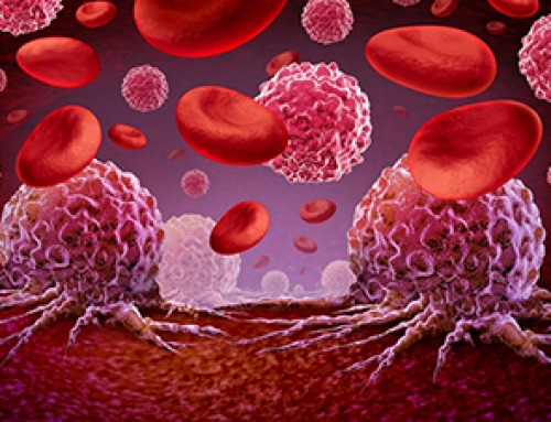 Scientists Rewire Donor Stem Cells To Outsmart Aggressive Blood Cancers