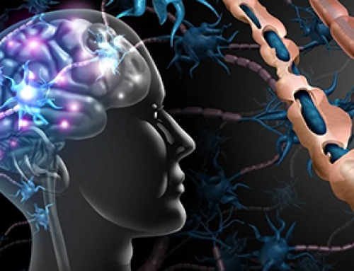 Researchers Compare MS Models to Human Tissue in Search for Better Therapies