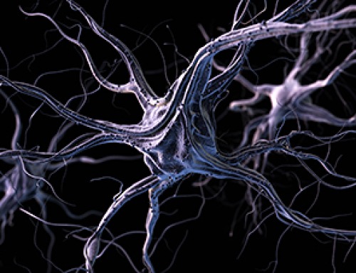 How Visual Neurons Organize Thousands of Synaptic Inputs