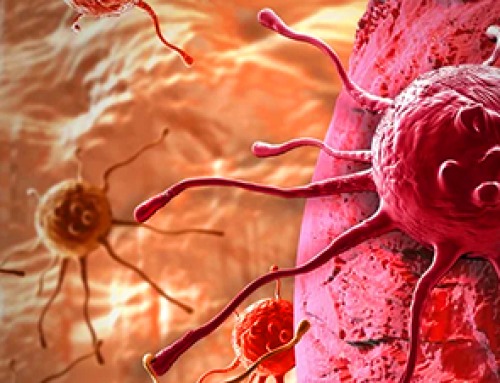 New method generates renewable supply of progenitor immune cells