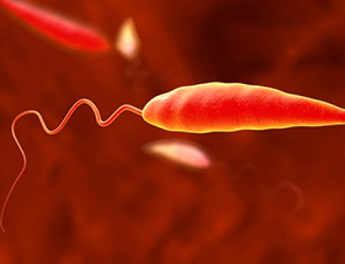 Scientists Have Discovered These Deadly Parasites Are Secretly Swapping DNA