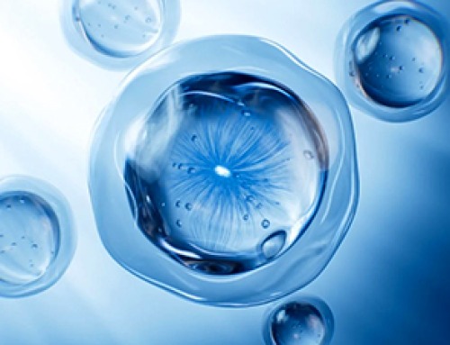 Stanford Scientists Discover Explosive New Type of Immune Cell