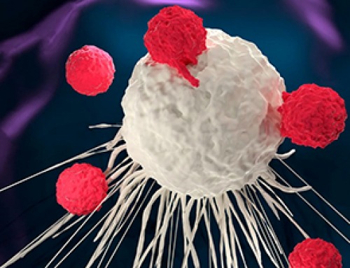 UCLA Scientists Uncover a “Hidden Weakness” in Some of the World’s Deadliest Cancers