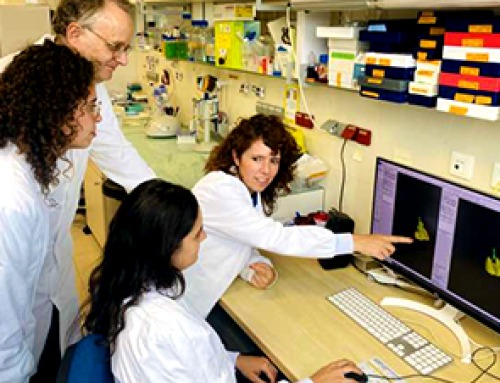 Nanoparticles inspired by lung fluid improve therapies targeting respiratory system