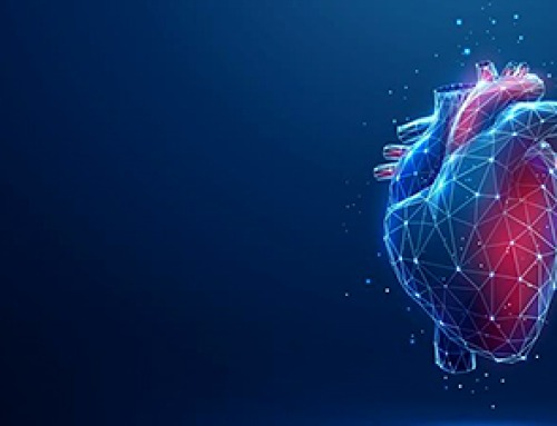 Stem cell organoids repair heart microvessels in coronary artery disease models