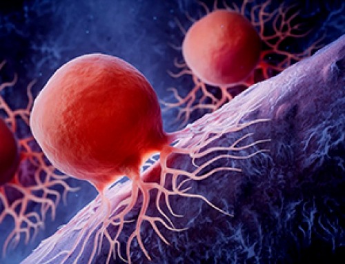Global Cancer Cases Could Surge 67% by 2050, New Report Warns