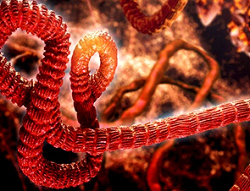 A Deadly Ebola-Like Virus Is Spreading. Are We Ready?
