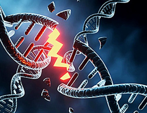 Building the Brain Requires Millions of Dangerous DNA Breaks