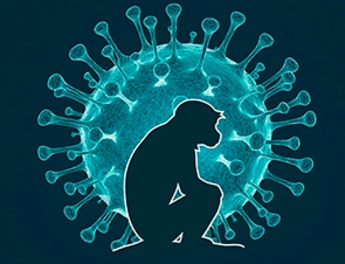 Why Most Animal Viruses Never Become Human Pandemics