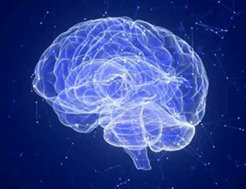 How Immune Dysregulation Contributes to Psychiatric Disorders