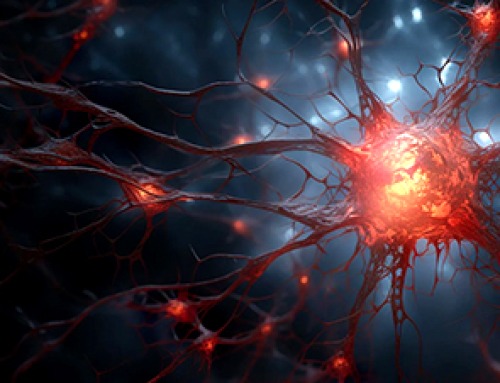 Scientists Discover the Brain Protein That Helps Alzheimer’s Spread Through the Brain