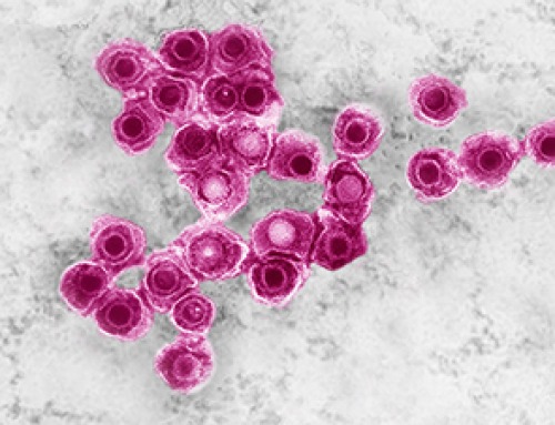 COVID-19 can wake up dormant viruses in the body, large study confirms